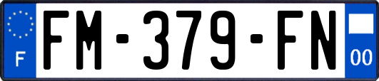 FM-379-FN