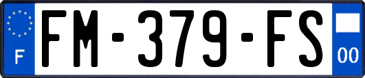 FM-379-FS