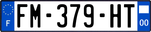 FM-379-HT