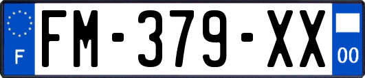 FM-379-XX