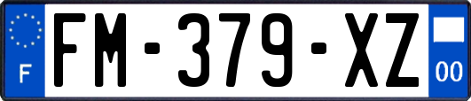 FM-379-XZ