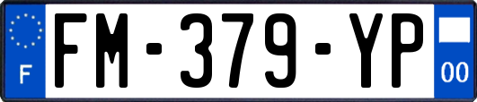 FM-379-YP