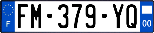 FM-379-YQ
