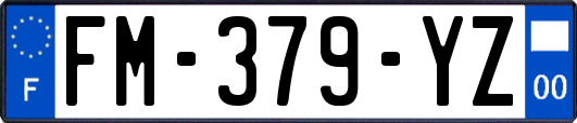 FM-379-YZ