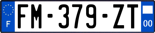 FM-379-ZT