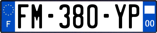 FM-380-YP