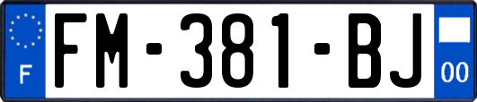 FM-381-BJ