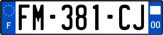 FM-381-CJ
