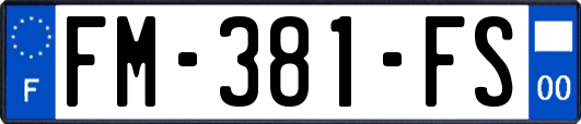FM-381-FS