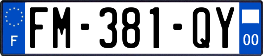 FM-381-QY