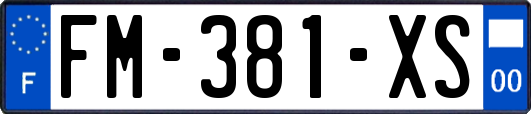 FM-381-XS