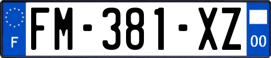 FM-381-XZ