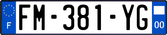 FM-381-YG