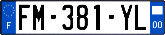 FM-381-YL