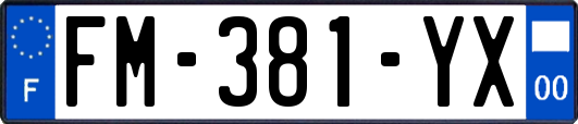 FM-381-YX