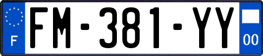 FM-381-YY