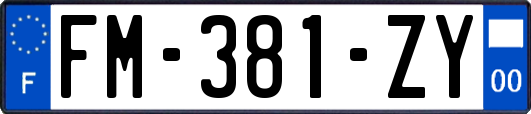 FM-381-ZY