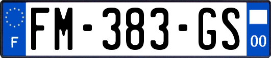 FM-383-GS