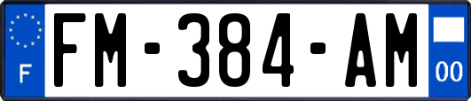 FM-384-AM