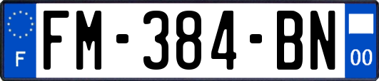 FM-384-BN