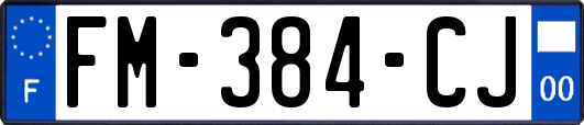 FM-384-CJ