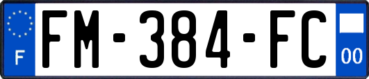 FM-384-FC