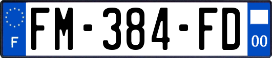 FM-384-FD