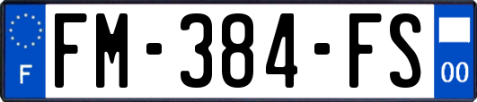 FM-384-FS