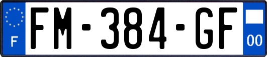 FM-384-GF