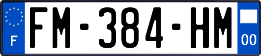 FM-384-HM