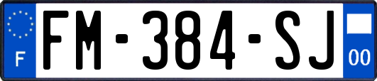 FM-384-SJ
