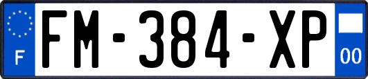FM-384-XP