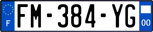 FM-384-YG