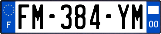 FM-384-YM
