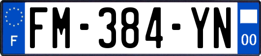 FM-384-YN