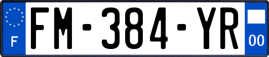 FM-384-YR