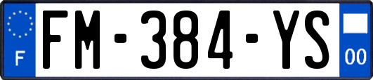 FM-384-YS
