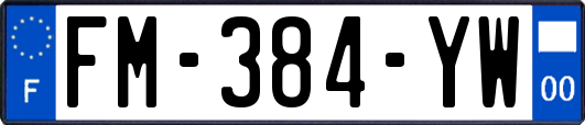 FM-384-YW