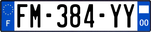 FM-384-YY