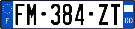 FM-384-ZT