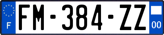 FM-384-ZZ