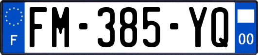 FM-385-YQ