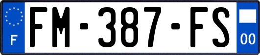 FM-387-FS