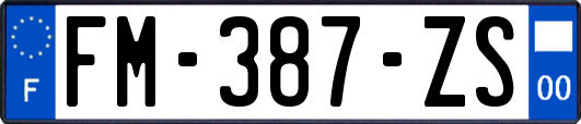 FM-387-ZS