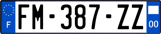 FM-387-ZZ