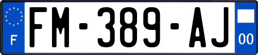 FM-389-AJ