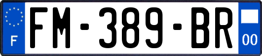 FM-389-BR