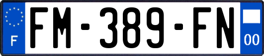 FM-389-FN