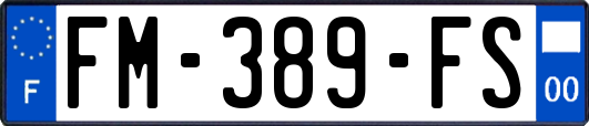 FM-389-FS