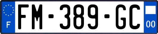 FM-389-GC